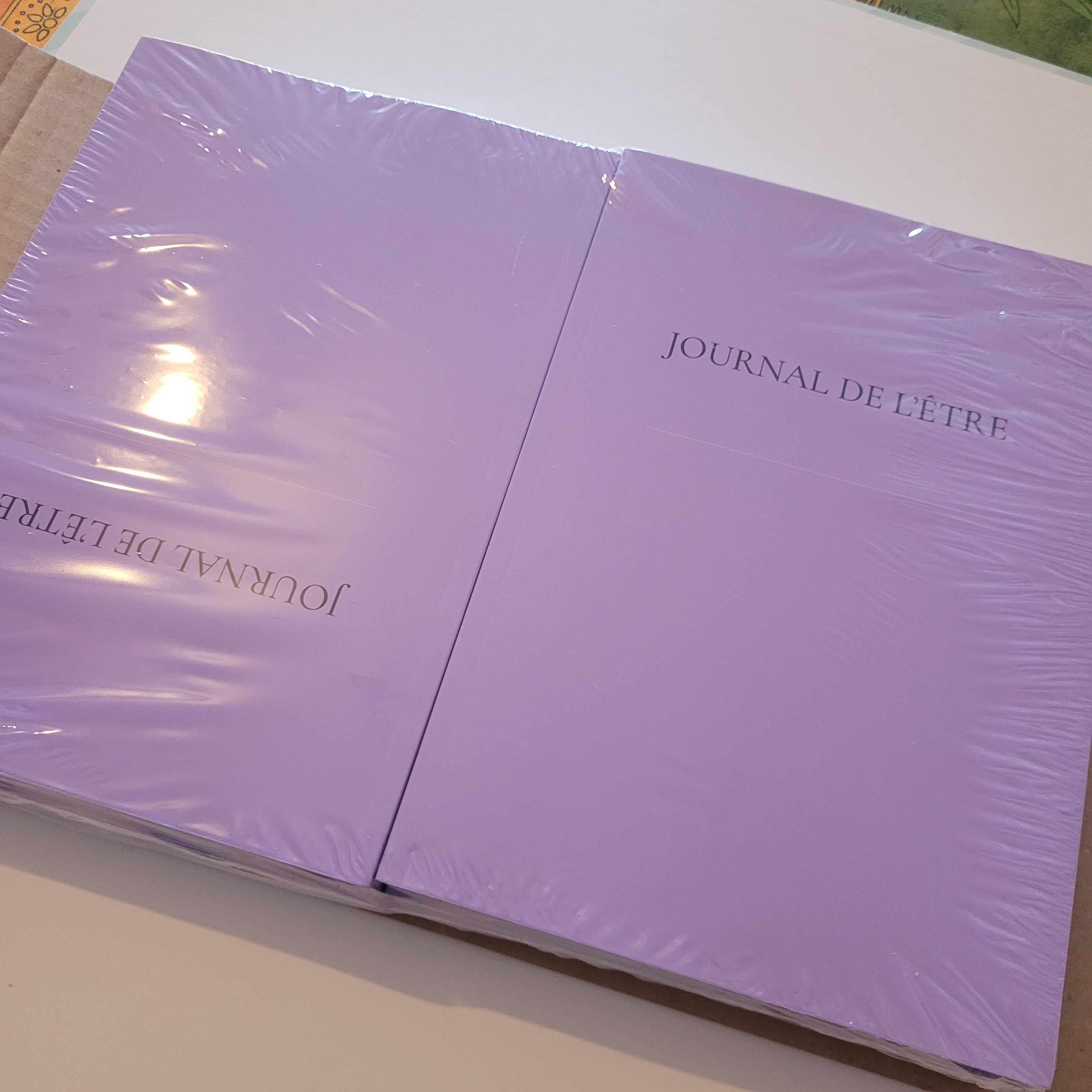 Journal de l’Être