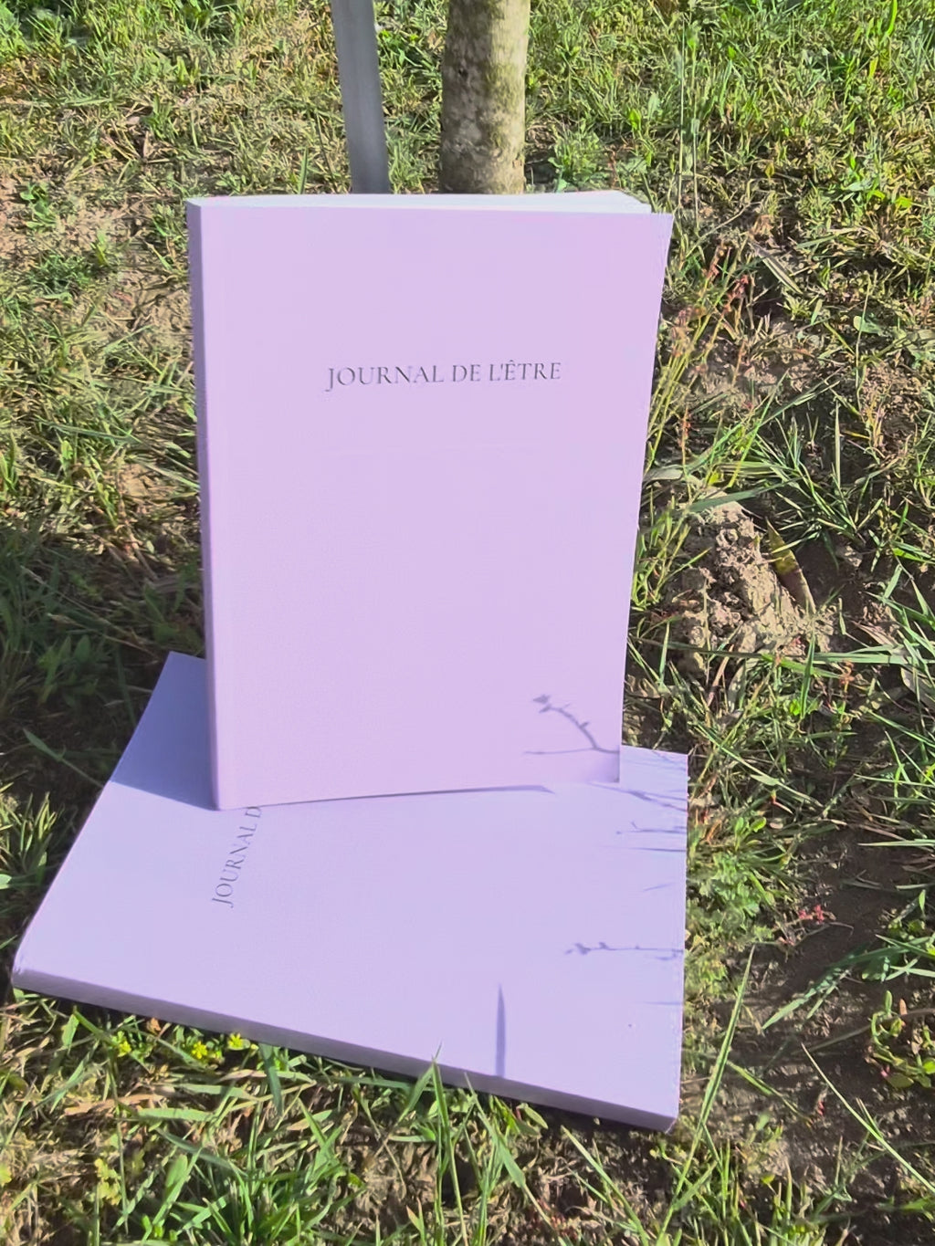 Journal de l’Être